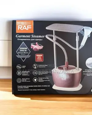 2000W Household Portable Travel Clothes Garment Steamer