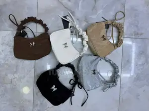 Ladies Handbag
