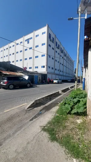 Plot Nzur Sana at Makumbusho