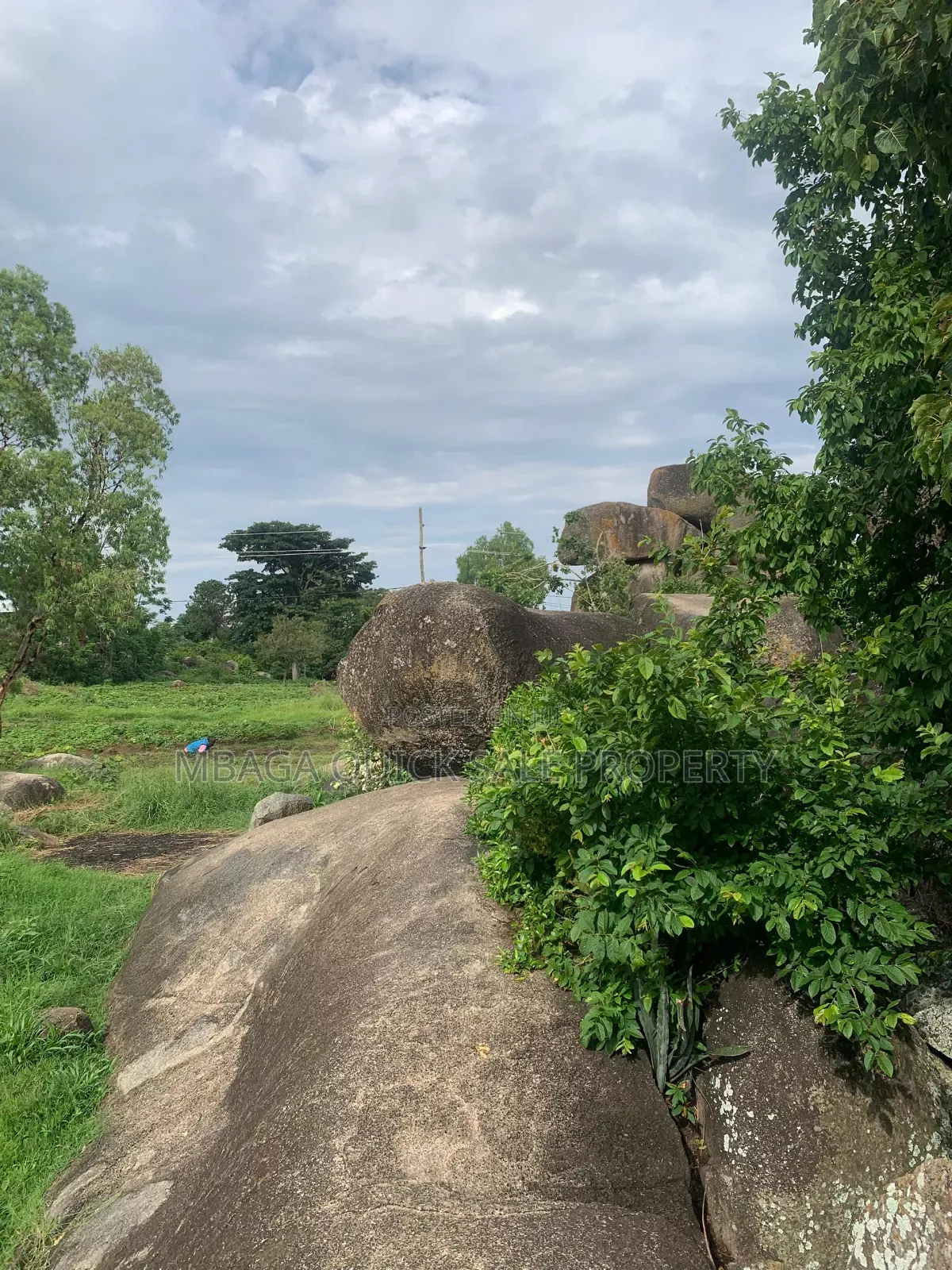 Corner Plot for Sale at Bwiru Mwanza