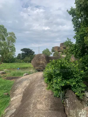 Corner Plot for Sale at Bwiru Mwanza