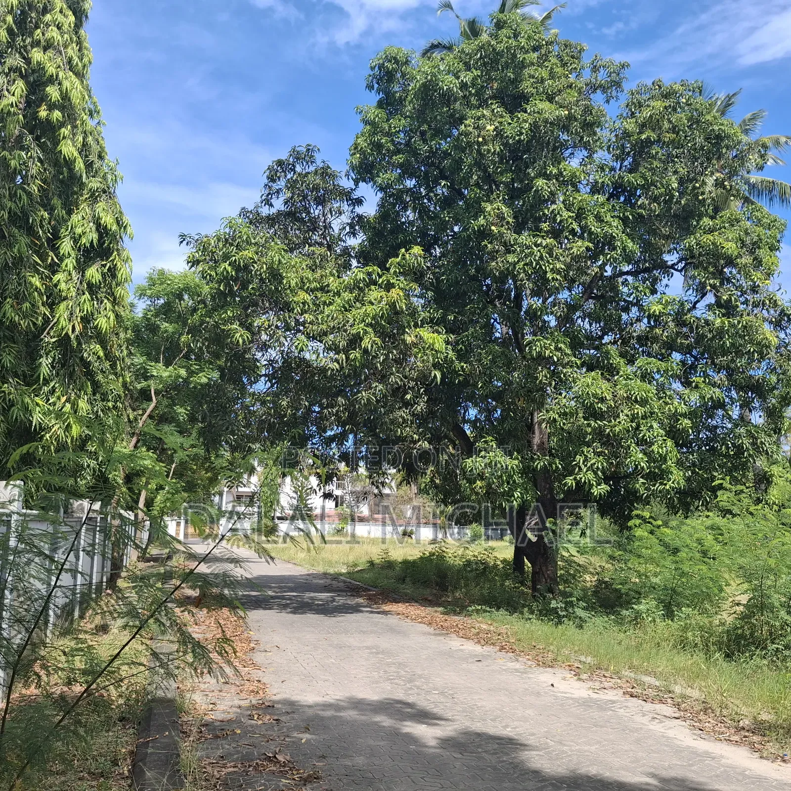 Plot for Sale Msasani Beach! 