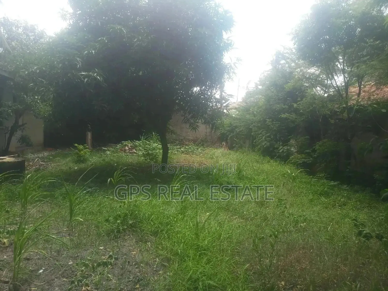 Plot & House For Sale