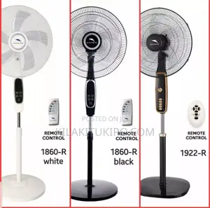 Dolphine Fan With Remote Control 18