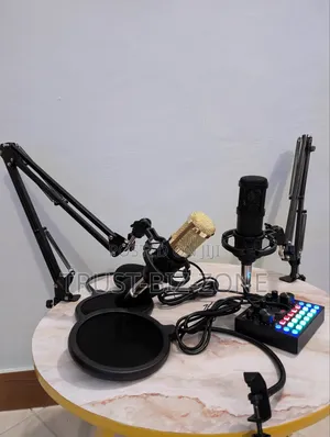 Studio Recording Microphone Condenser Kit Set 2mic
