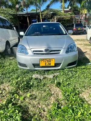 Toyota Corolla RunX 2004 Silver