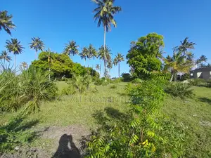 Kiwanja Kinauzwa Kigamboni Kibugumo