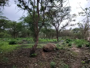 1 Acre Land in Kivulini Estate-Behind Sabble Square