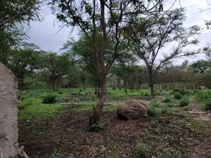 1 Acre Land in Kivulini Estate-Behind Sabble Square