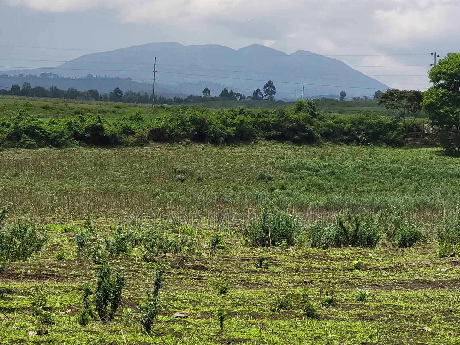 1 Acre Land in Kivulini Estate-Behind Sabble Square