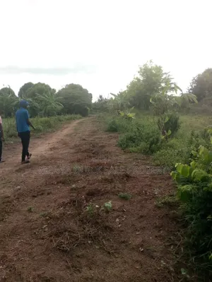 3bdrm House in Mingoi Darajani, Bagamoyo for sale