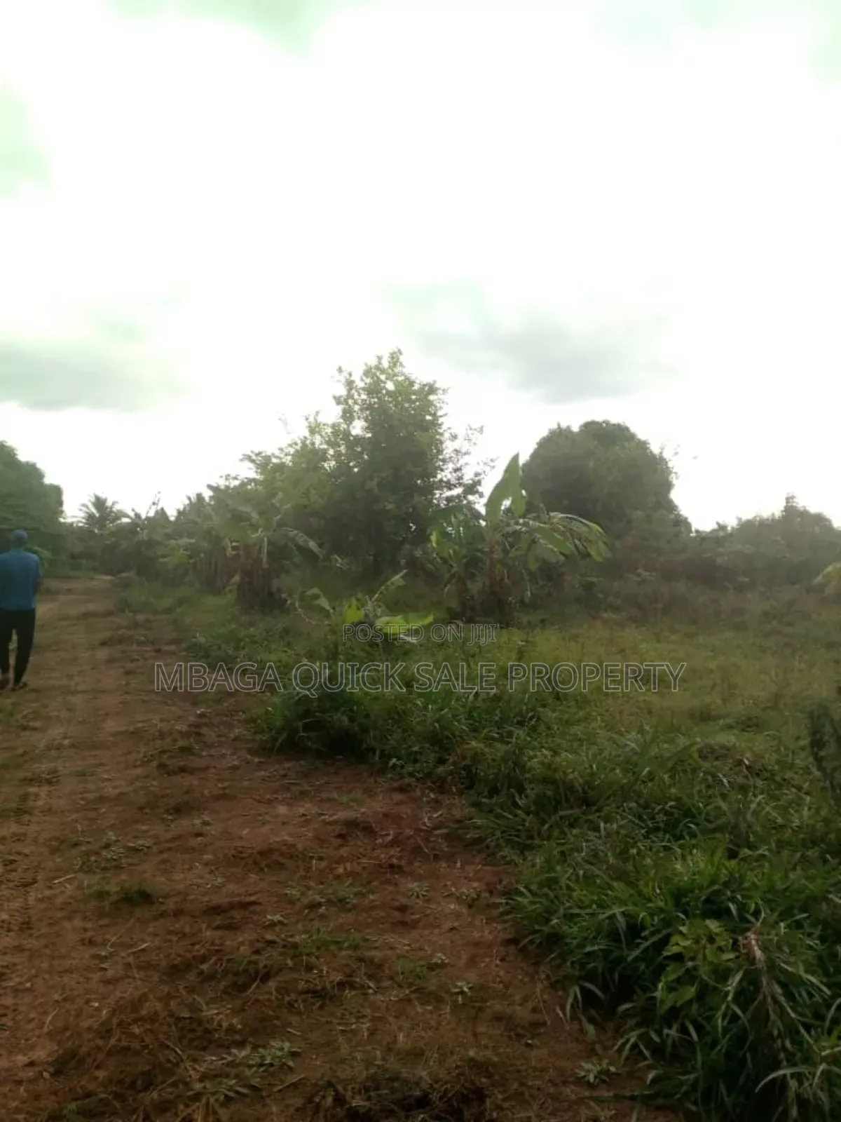 Farm for Sale at Soga Kibaha Pwani Region