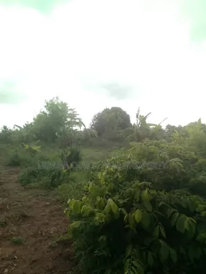Farm for Sale at Soga Kibaha Pwani Region