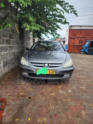 Peugeot 1007 2002 Gray