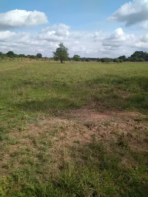 6000 Acres Shamba for Sale in Korogwe Tanga