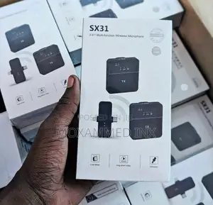 Double Wireless Mic