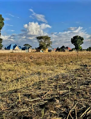 Viwanja Vimepimwa Arusha