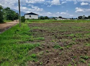 Mradi Viwanja East Africa Road Vimepimwa