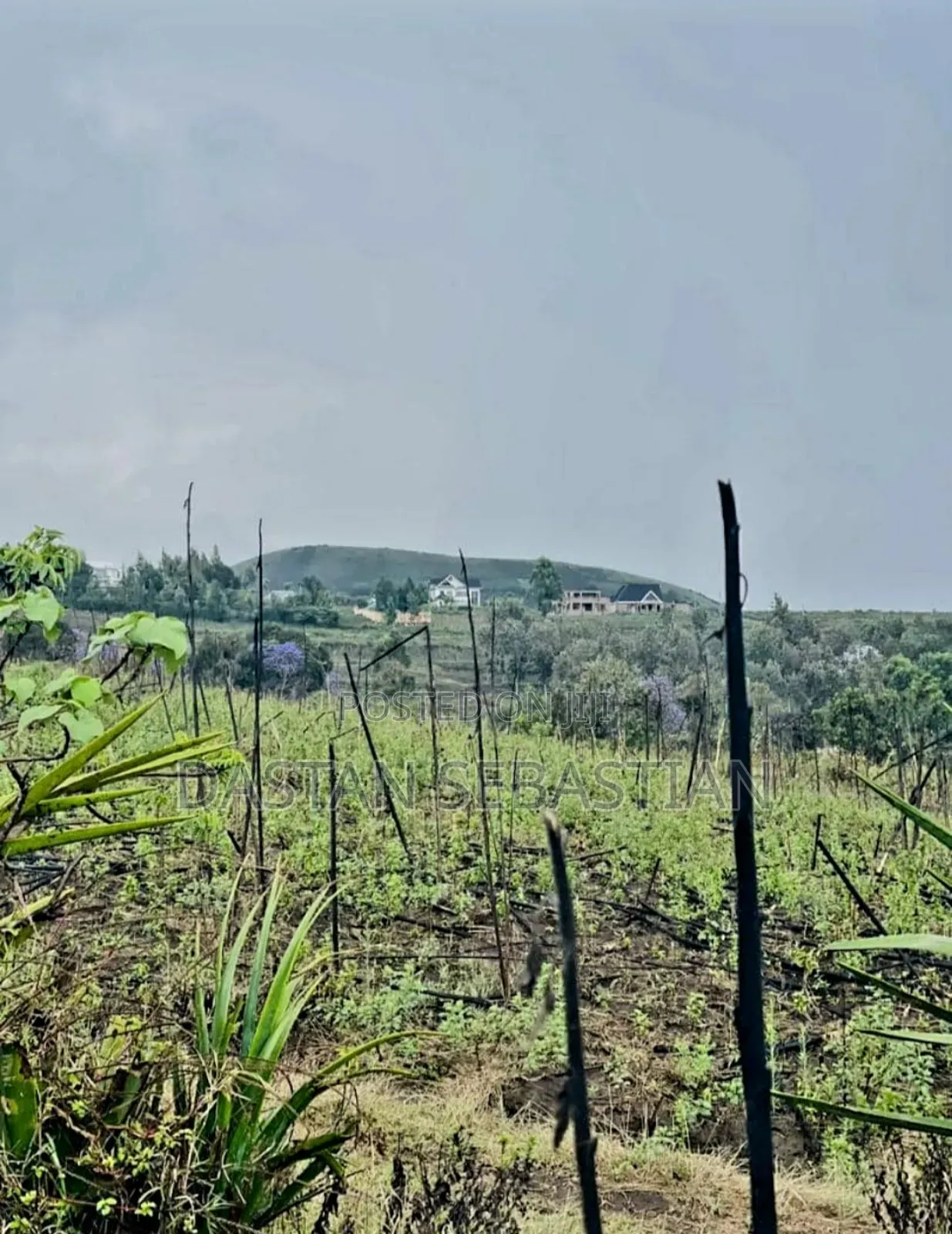 Funga Mwaka Miliki Ardhi Ngaramtoni