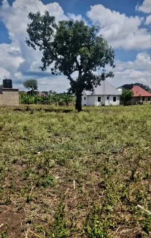 Maji Ya Chai Kwa Aloyce Na Sabato Viwanja