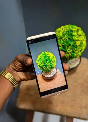 LG it V36 32 GB Gold