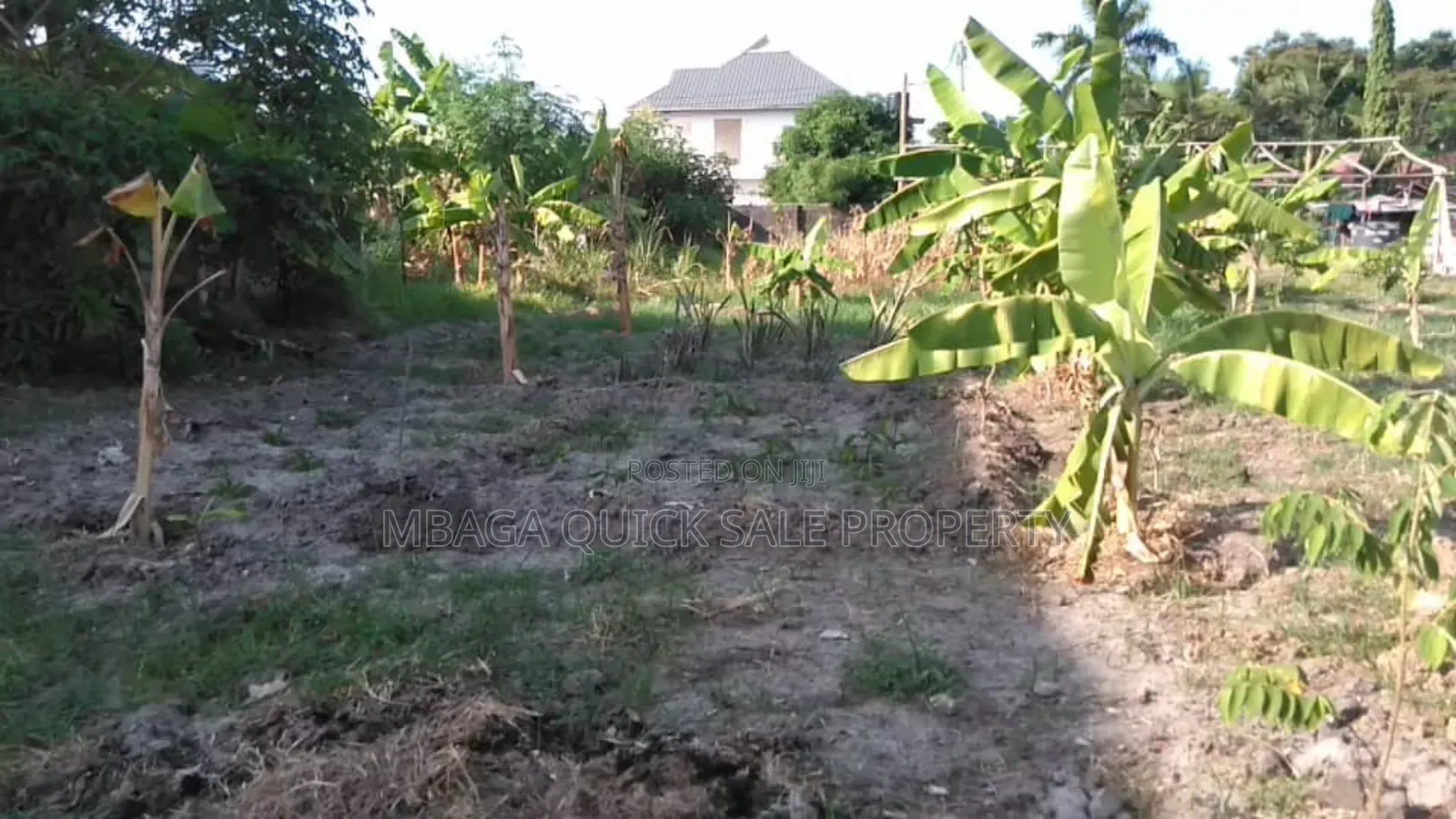 Big Yard for Rent at Mbezi Beach Africana