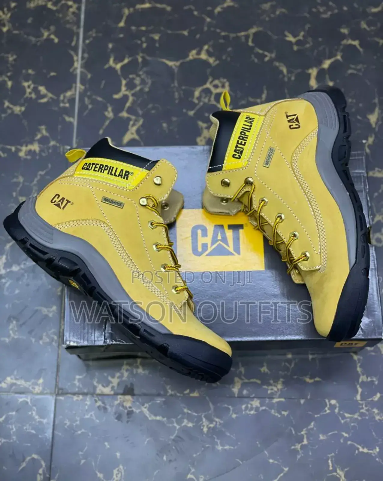 New Cat Longneck Shoes/Footwears