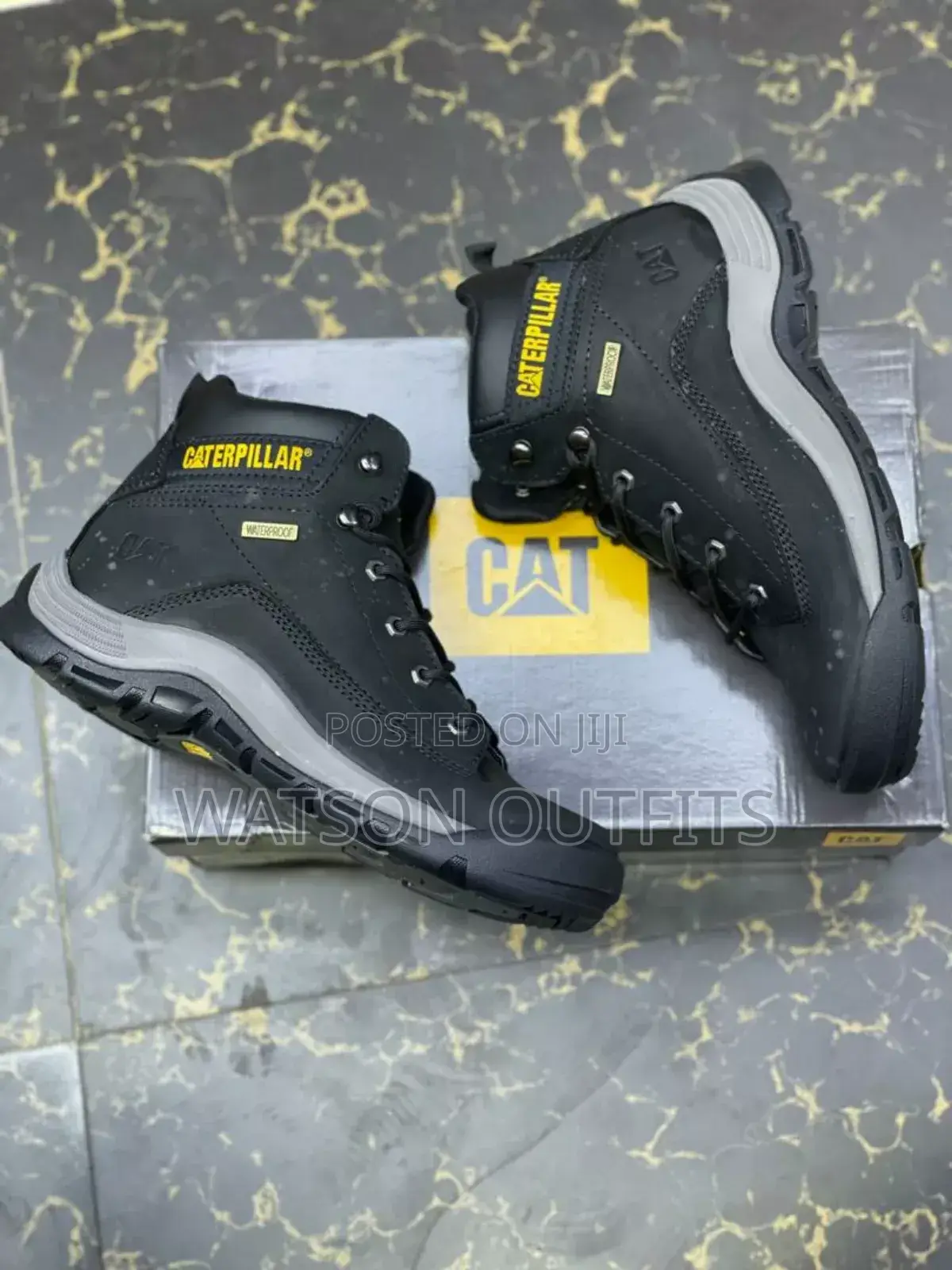 New Cat Longneck Shoes/Footwears