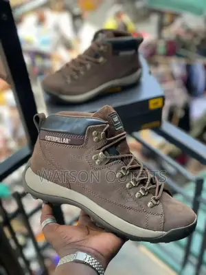 New Cat Longneck Shoes/Footwears