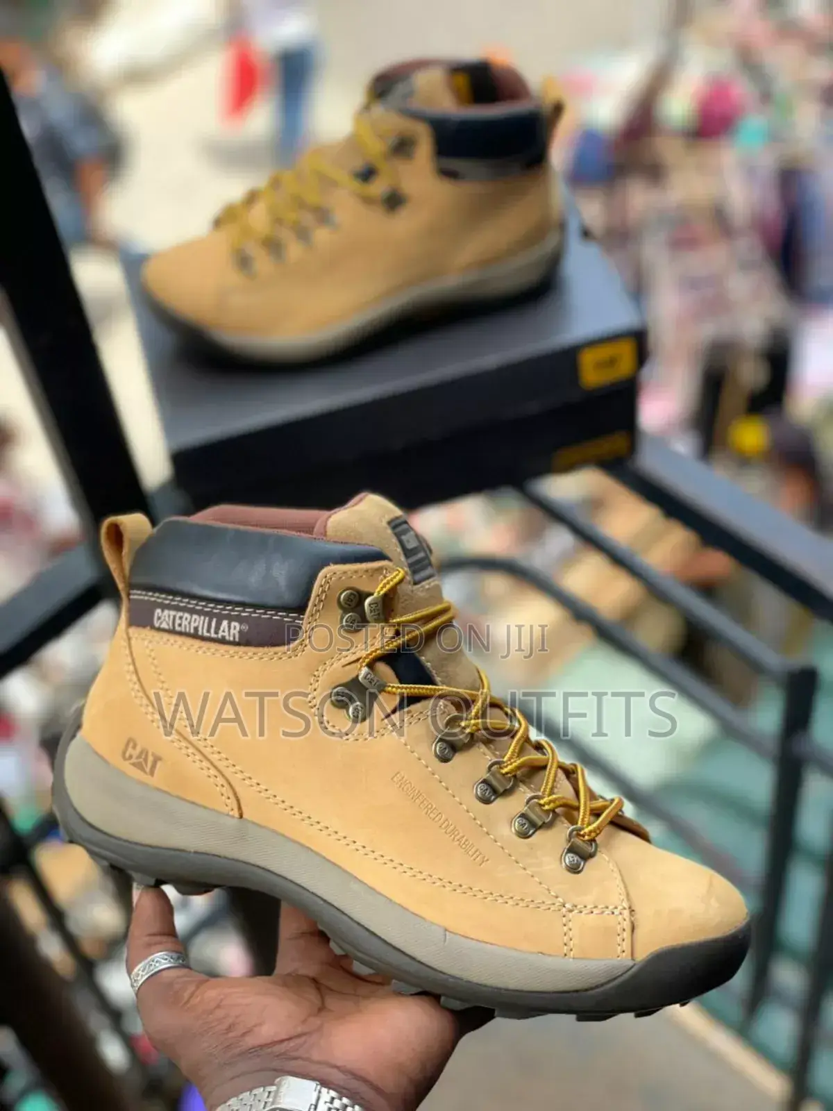 New Cat Longneck Shoes/Footwears
