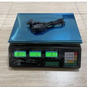 40KG Electronic Price Computing Scale | Food Weight Scale