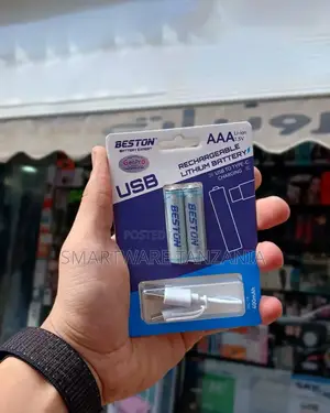 2 Pieces Rechargeable AAA Lithium Battery With USB Cable