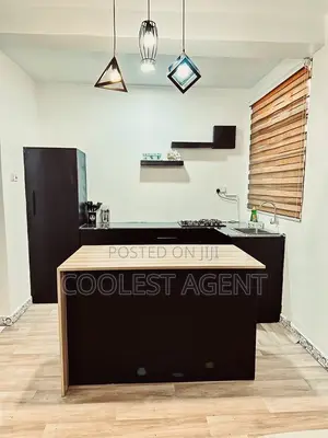 Furnished 1bdrm Apartment in Kinondoni for rent