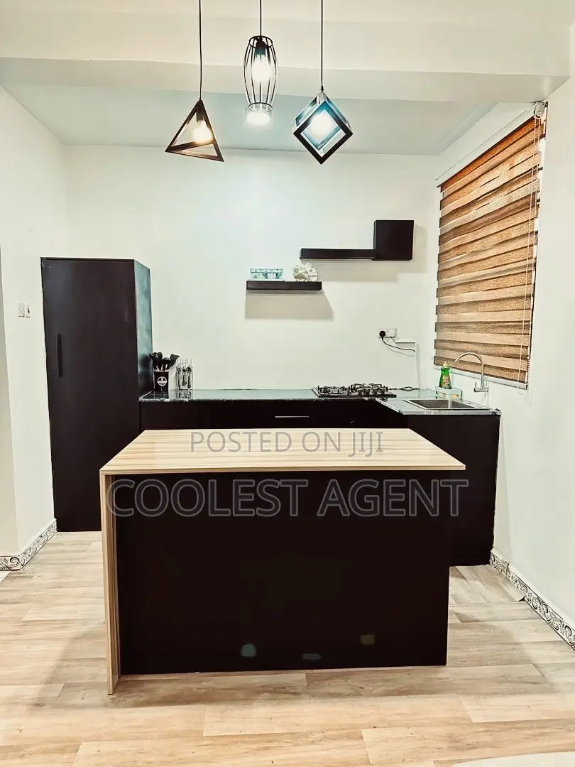 Furnished 1bdrm Apartment in Kinondoni for rent