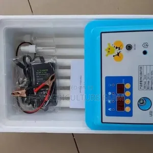 Incubator 30 Eggs Machine
