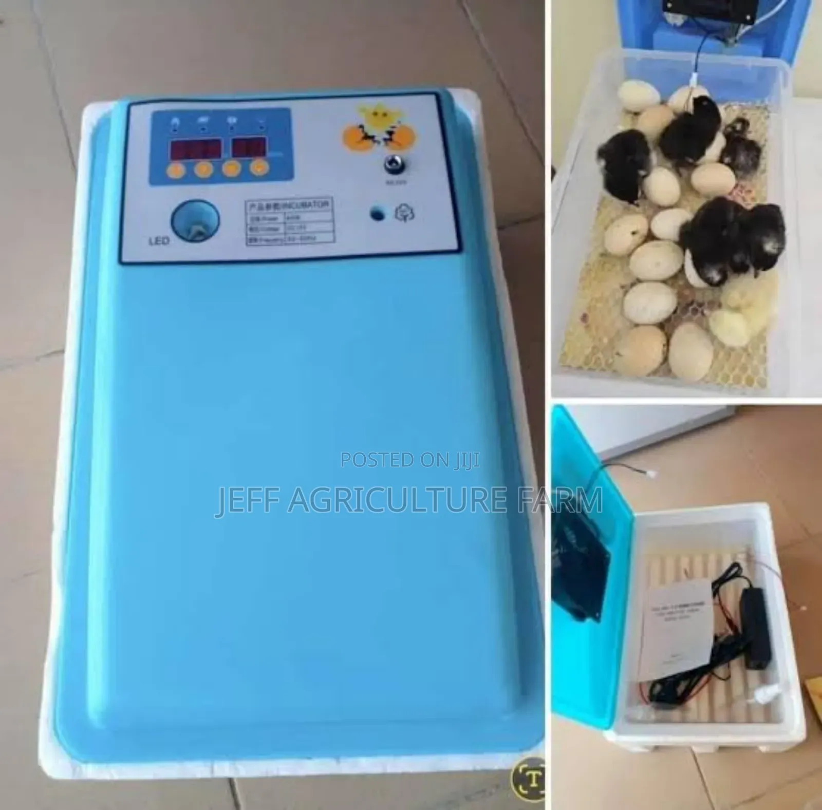 Incubator 30 Eggs Machine
