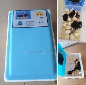 Incubator 30 Eggs Machine