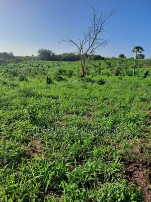 Shamba Linauzwa Kiwangwa Bagamoyo