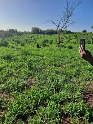 Shamba Linauzwa Kiwangwa Bagamoyo