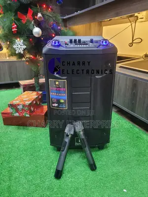 RICHSOUND Trolley Rechargeable Speaker 12"With 2wireless Mic