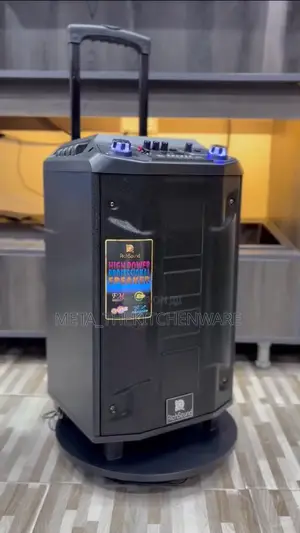 Richsound Rechargeable Trolley Speaker With 2 Wireless Mic