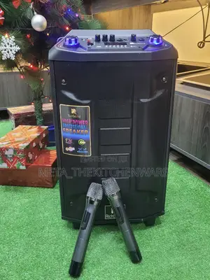 Richsound Rechargeable Trolley Speaker With 2 Wireless Mic