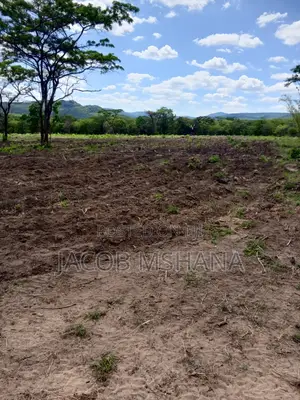 Shamba Kubwa Linauzwa