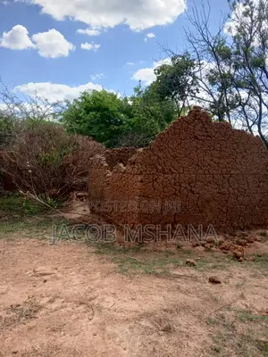 Shamba Kubwa Linauzwa