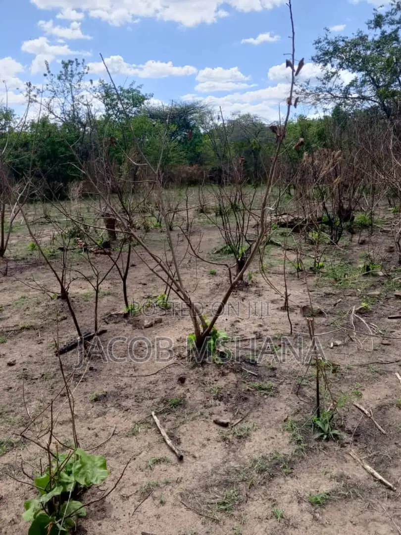 Shamba Kubwa Linauzwa