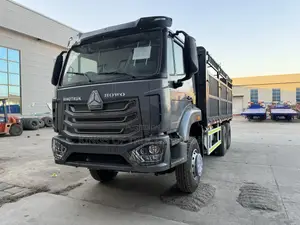 Ready to Order Used Howo Nx Cargo for Sale