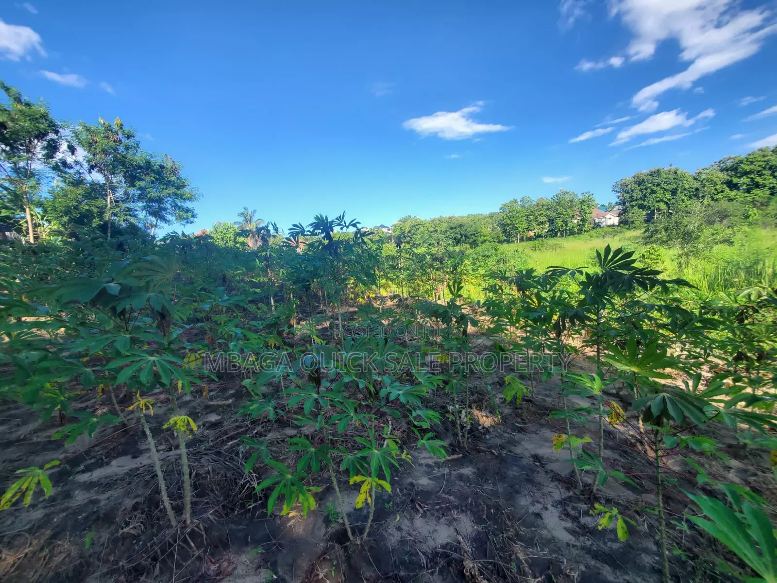Plot for Sale at Madale Mwisho