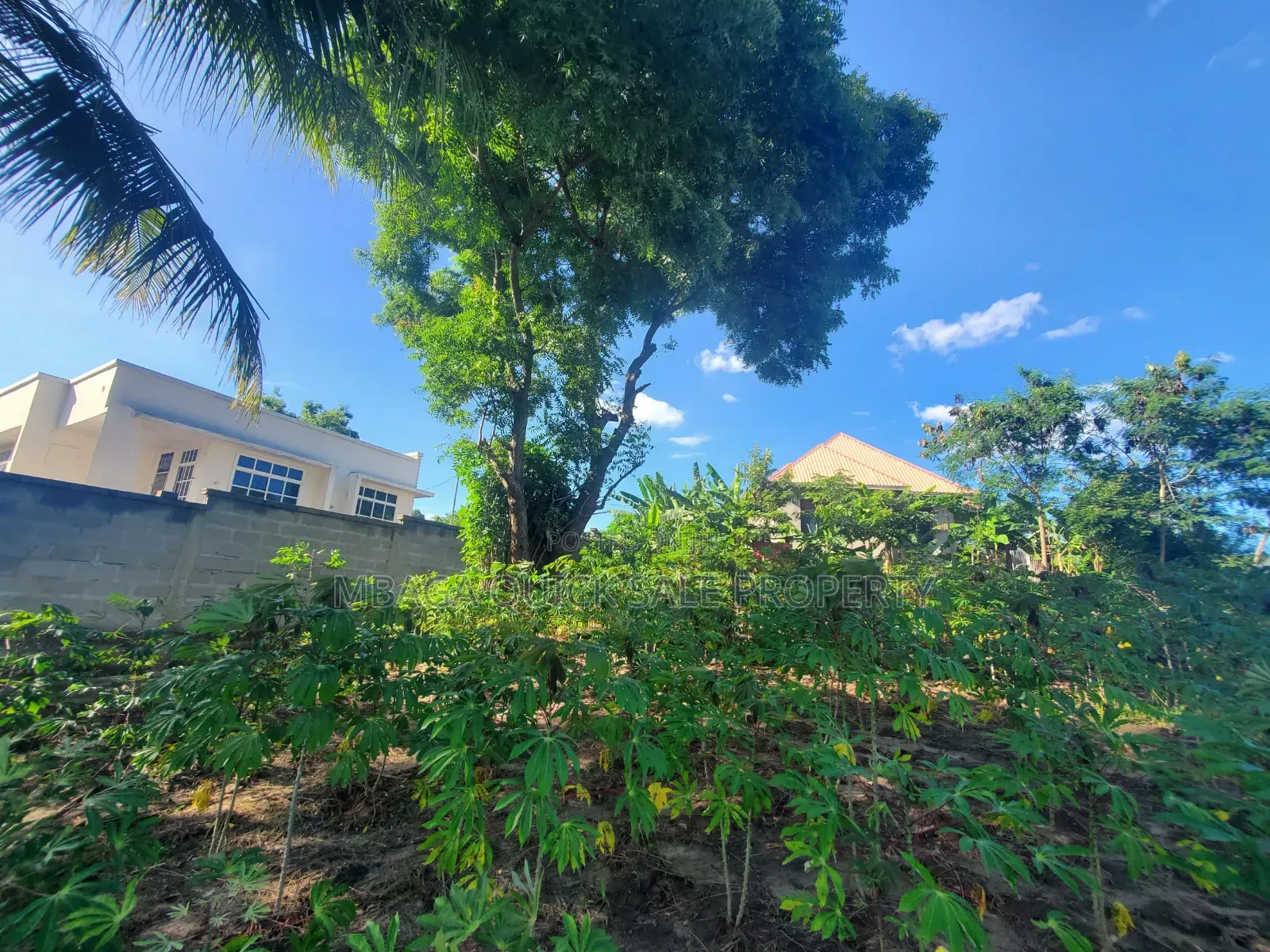 Plot for Sale at Madale Mwisho