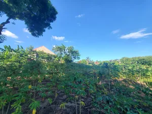 Plot for Sale at Madale Mwisho