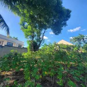 Kiwanja Madale